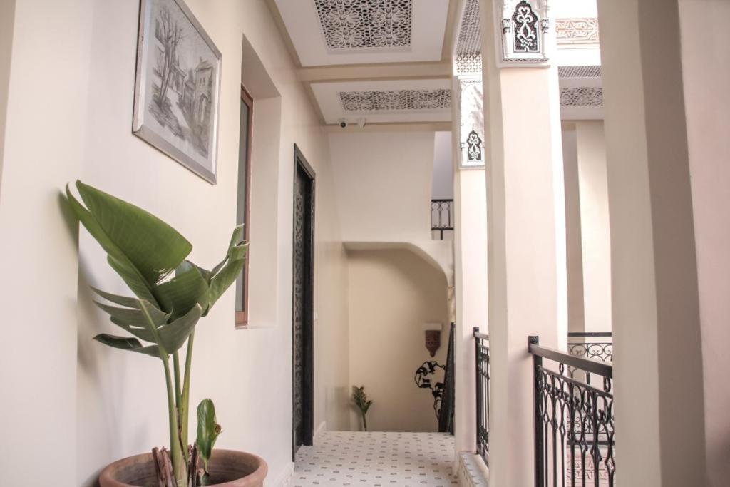 Riad Amazing Marrakesh Bagian luar foto